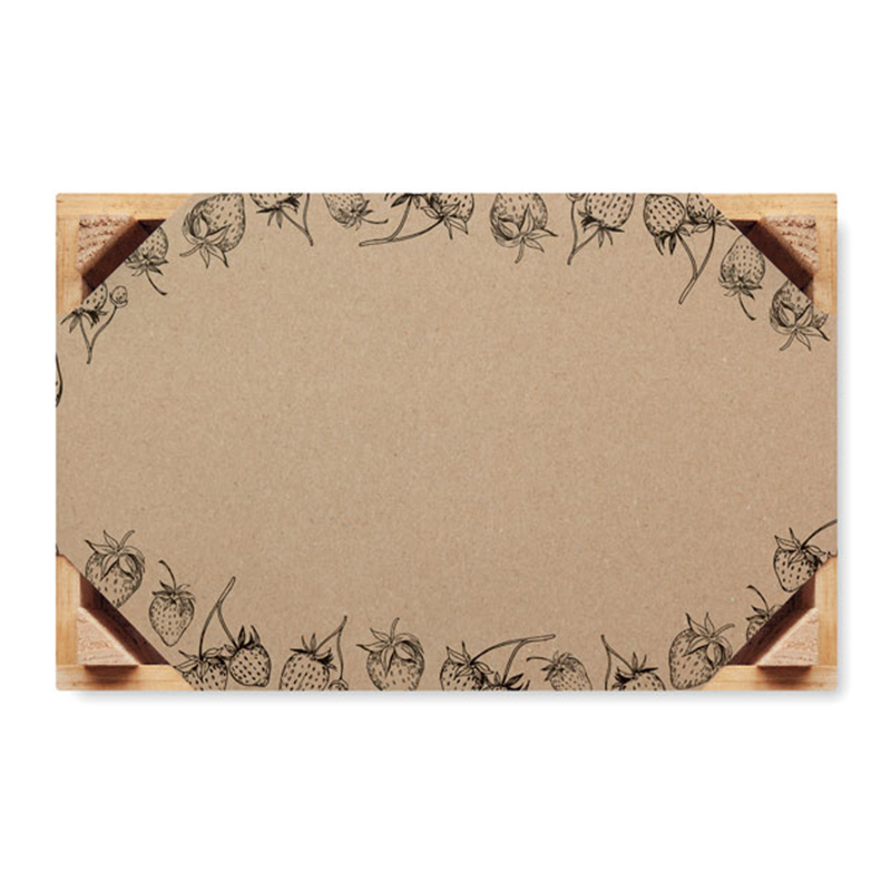 Kit de culture de fraises - image 3